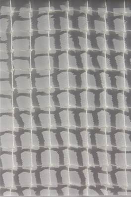 FILET ANTI MOINEAUX 20X20m MAILLE 19 BLANC