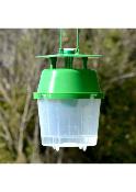 PIEGE A PHEROMONES CONTRE PAPILLON FUNNEL TRAP