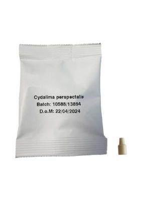 PHEROMONE CONTRE PYRALES DU BUIS