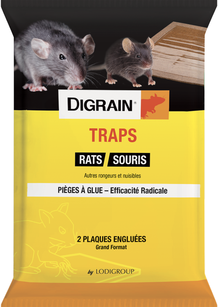 Piège collant à glu anti-souris : est-ce efficace ?