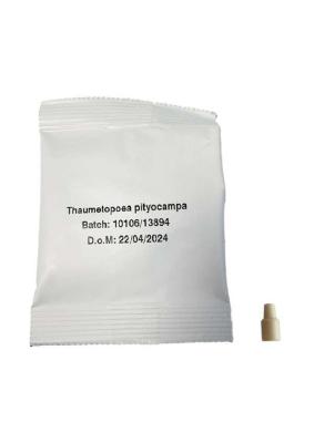 PHEROMONE CONTRE PROCESSIONNAIRE DU PIN