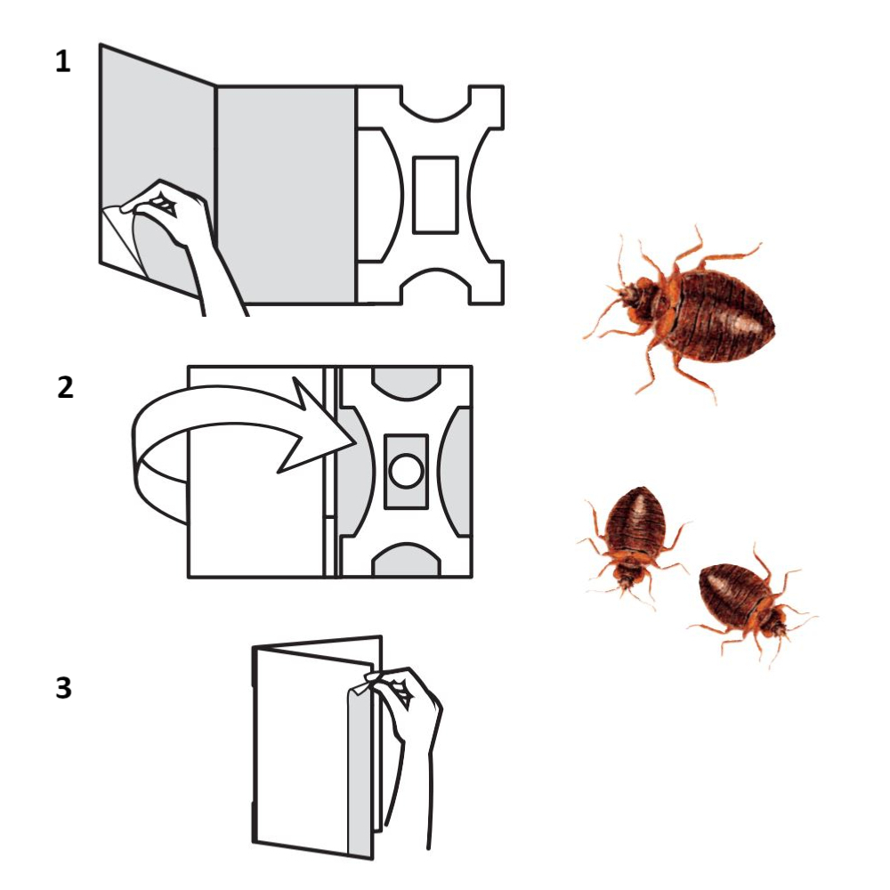 Vulcano pieges pour Punaises de lit x 3