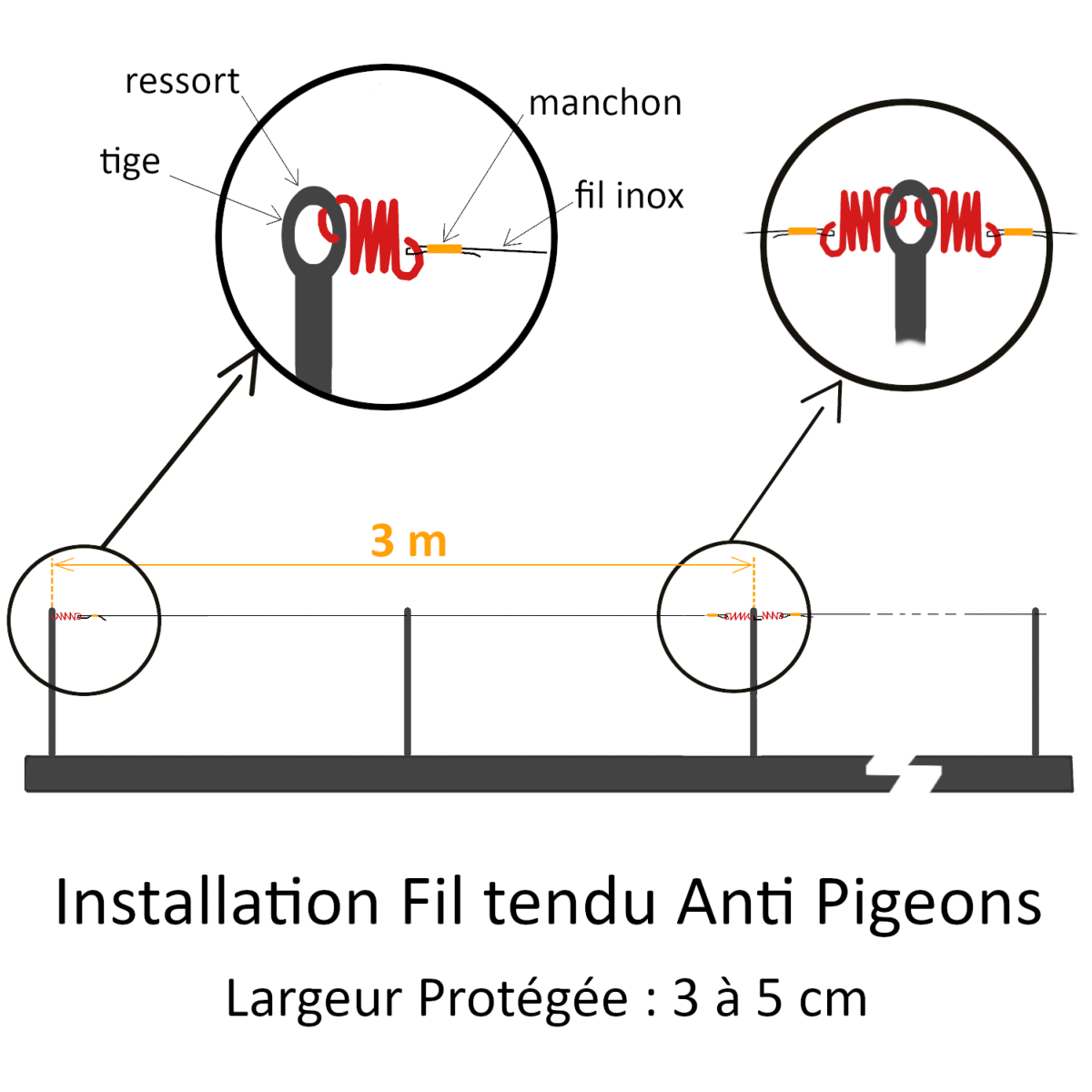 Cable anti pigeon effet ressort et rotatif.