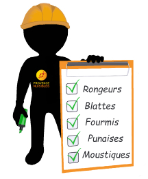 technicien conseil provence nuisibles