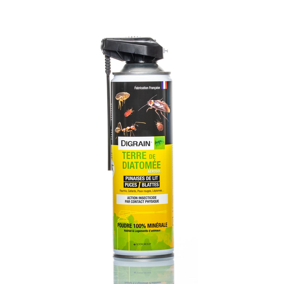 AEROSOL INSECTICIDE TERRE DE DIATOMEE 750 ml - Jardiland