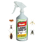 LAQUE INSECTICIDE EFFET CHOC 1L VULCANO